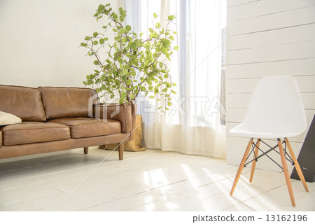 living room	 13162196