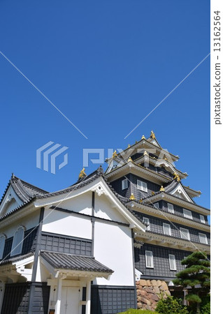 Okayama castle in early autumn 13162564