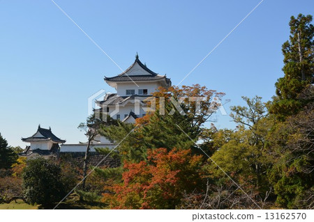 伊賀上野城堡在初秋 伊賀上野城堡在初秋 13162570