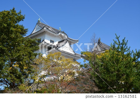 Iga Ueno Castle in early autumn 13162581