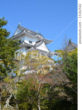 伊賀上野城堡在初秋 13162582
