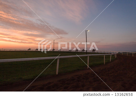 Horses Riders Silhouetted Dawn Horses Riders Silhouetted Dawn 13162658