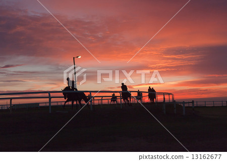 Race Horses Training Track Riders Silhoutted Sunrise 13162677