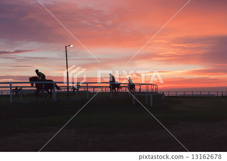 Race Horses Training Track Riders Silhoutted Sunrise 13162678