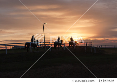 Race Horses Training Track Riders Silhoutted Sunrise Race Horses Training Track Riders Silhoutted Sunrise 13162686