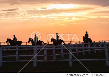 Race Horses Training Track Riders Silhoutted Sunrise Race Horses Training Track Riders Silhoutted Sunrise 13162688
