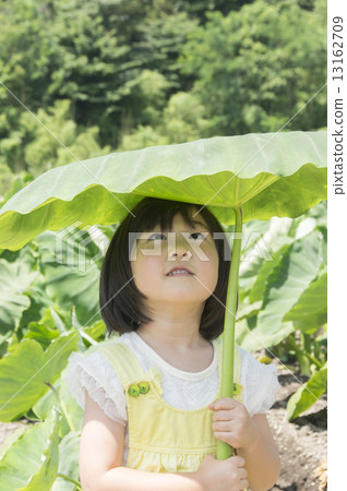 Girl making umbrellas of big umbrella tumbles 13162709