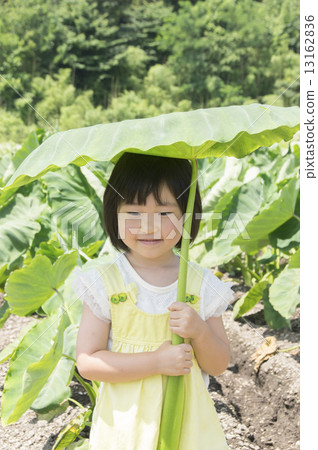 Big umbrella 13162836