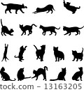 Cat's silhouette 13163205