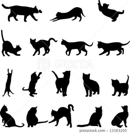 Cat's silhouette 13163205