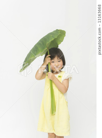 Big umbrella 13163668