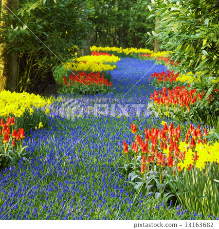 Keukenhof Gardens, Lisse, Netherlands Keukenhof Gardens, Lisse, Netherlands 13163682