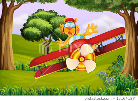 A plane at the forest with a tiger 13164187