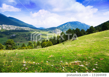 mountain landscape with meadow mountain landscape with meadow 13164449