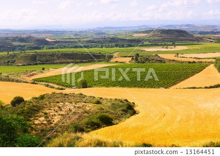Rural landscape near Haro in La Rioja, Spain Rural landscape near Haro in La Rioja, Spain 13164451