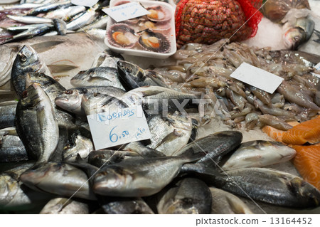 Raw fresh fish Raw fresh fish 13164452