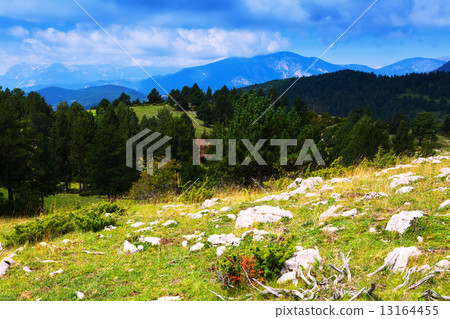 Summer mountain landscape 13164455
