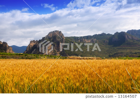 Rural landscape in summer day. La Rioja Rural landscape in summer day. La Rioja 13164507