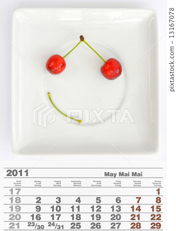 2011 may calendar 13167078