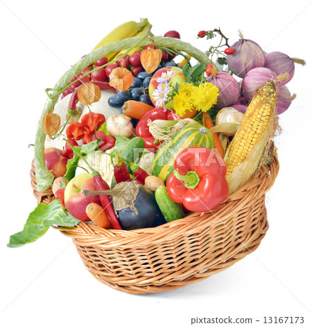 harvest basket 13167173