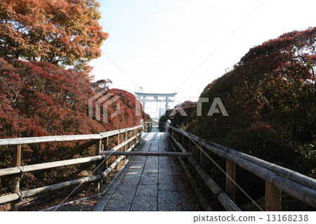 Nagaoka Tenman-gu Shrine Nakae 13168238