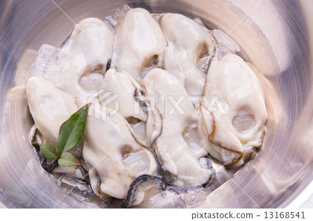 Peeled oyster 13168541