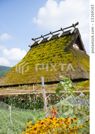 茅草屋頂 茅草屋頂 13169165