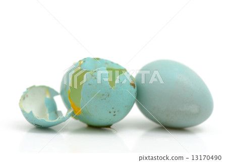 Broken Blue Eggs Broken Blue Eggs 13170490