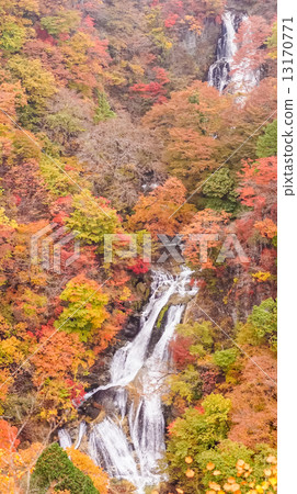 秋葉霧秋天瀑布 13170771