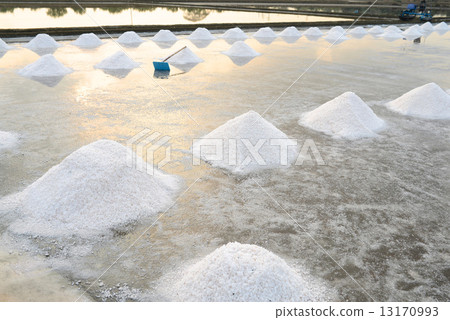 saline farm 13170993