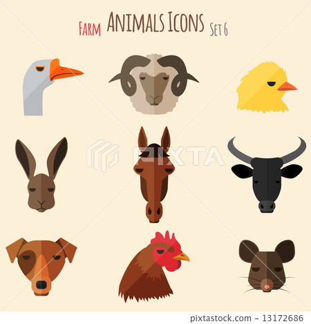 Farm Animals Icons with Flat Design 13172686