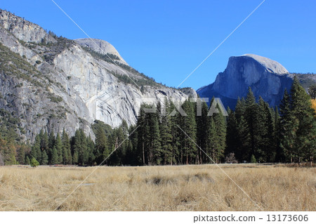 Fall Yosemite National Park 13173606