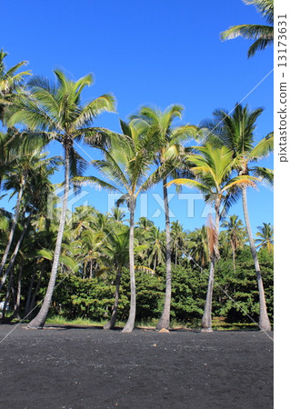 Island of Hawaii Island of Hawaii 13173631