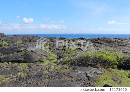 夏威夷火山國家公園 13173650