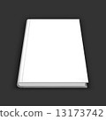 Blank book, textbook, booklet or notebook mockup. 13173742