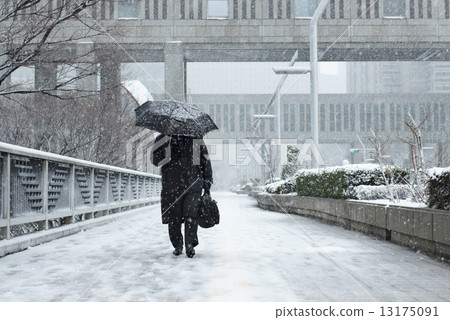 white collar woker, midwinter, heavy snowfall 13175091