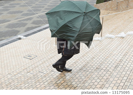 公司職員 工薪族 上班族 13175095