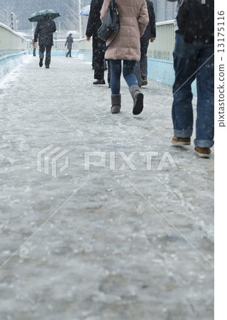 snowy, fallen snow, freeze 13175116