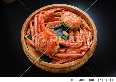 新鮮雪雪蟹 13175814