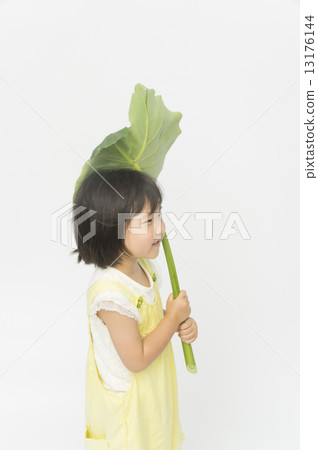 Enjoy nature 13176144