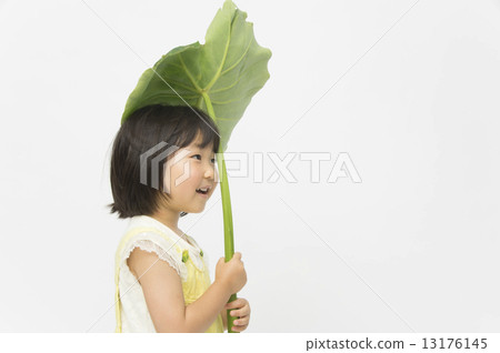 Enjoy nature 13176145