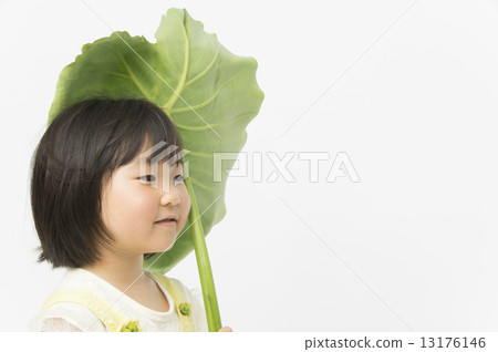 Enjoy nature Enjoy nature 13176146