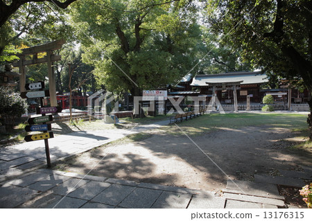 Ikukuna神社 13176315
