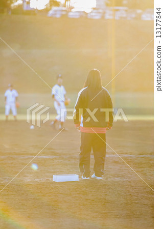 管理人員 經理 棒球 13177844