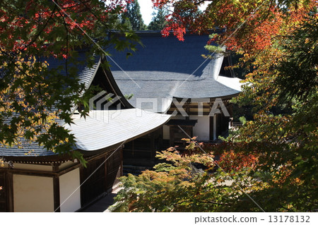神護寺 神護寺 13178132