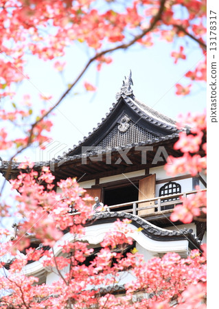 April Aichi Inuyama Castle - Tenso and Dogwood April Aichi Inuyama Castle - Tenso and Dogwood 13178317