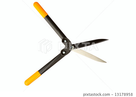 Hedge Trimmer 13178958