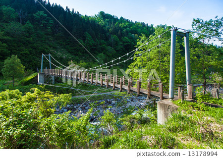 山懸索橋 13178994