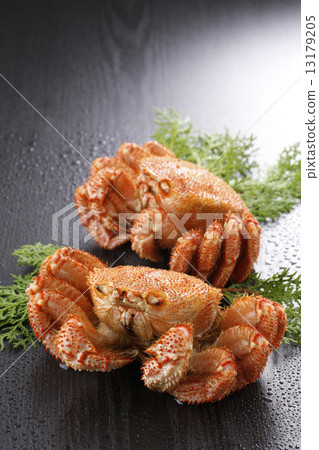 Boyle hair crab 13179205