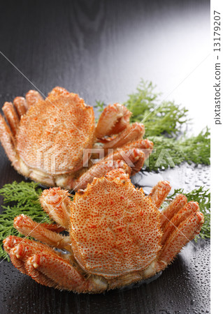 Boyle hair crab 13179207